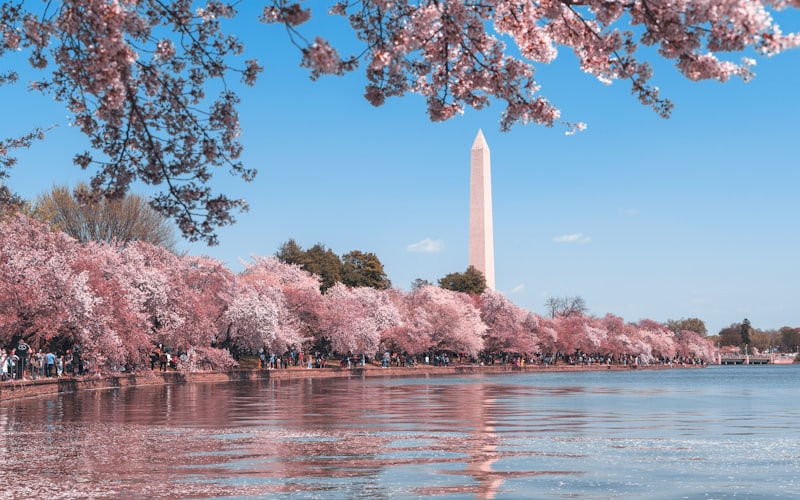 State Department Revises Visa Interview Waiver Program for 2025